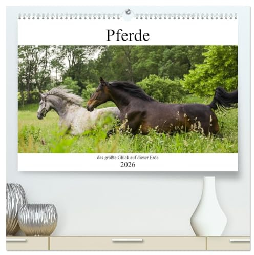Pferde, das größte Glück auf dieser Erde (hochwertiger Premium Wandkalender 2026 DIN A2 quer), Kunstdruck in Hochglanz: Nicht ohne Grund heißt es, Pferde machen glücklich (CALVENDO Tiere)