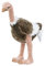 Teddys Rothenburg Kuscheltier Vogel Strauß 32 cm grau Plüschtier Plüschvogel