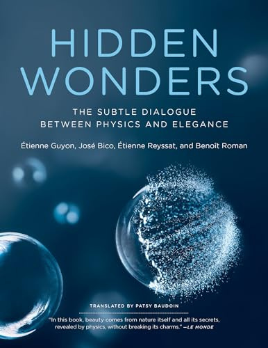 Hidden Wonders: The Subtle Dialogue Between Physics and Elegance