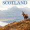 Scotland – Schottland 2024 – 16-Monatskalender: Original Avonside-Kalender [Mehrsprachig] [Kalender] (Wall-Kalender)