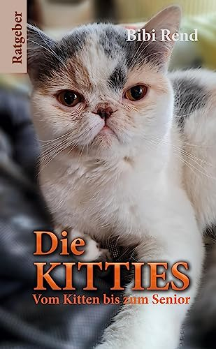 Die Kitties: Vom Kitten bis zum Senior