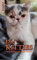 Die Kitties: Vom Kitten bis zum Senior
