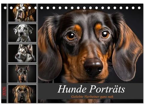 Hunde Porträts (Tischkalender 2026 DIN A5 quer), CALVENDO Monatskalender: Zwölf Bilder von beliebten Hunderassen, die mit ihren Blicken die Herzen berühren (CALVENDO Tiere)