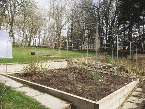 Walk-In Fruit or Vegetable Cage With No Netting, Ideal If You Have Your Own Netting W4m x L4m Door Included