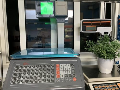 BASCULA ECONOMICA CON TICKET 4 VENDEDOR