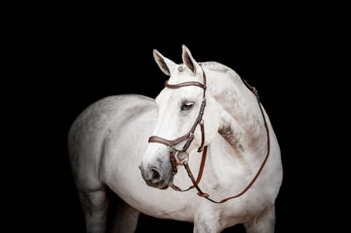 Horseware HW Micklem2 Competition Bridle, Warmblut, Dark Havanna