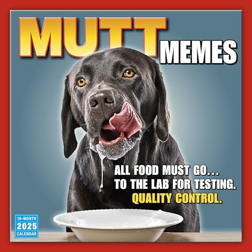 Mutt Memes Wandkalender 2025, 16 Monate Humor & Comic, 30,5 x 30,5 cm