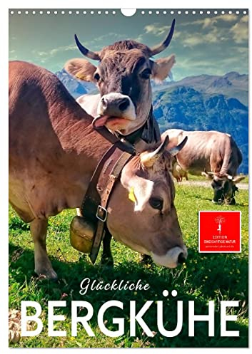 Glückliche Bergkühe (Wandkalender 2025 DIN A3 hoch), CALVENDO Monatskalender