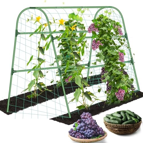 HolyMaji Gurken Rankgitter für Hochbeet, 49x47 Bogen Rankhilfe für Kletterpflanzen Outdoor Stahl PE-beschichtet Abnehmbarer Gartentunnel mit Netz für Traube Tomate Kürbis Zucchini