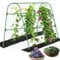 HolyMaji Gurken Rankgitter für Hochbeet, 49x47 Bogen Rankhilfe für Kletterpflanzen Outdoor Stahl PE-beschichtet Abnehmbarer Gartentunnel mit Netz für Traube Tomate Kürbis Zucchini