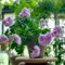 pelargonium geranien samen hängend, wiesensaatgut, steingartenpflanzen winterhart topfpflanzen draußen winterhart, deko blumen bonsai samen, winterharte kübelpflanzen blumenwiese 500pcs