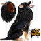 Vivifying Hundekostüm Löwenmähne Hund, Verstellbar Hunde Halloween Kostüm Perücke mit Ohren für Mittlere und Große Hunde (Schwarz)
