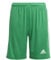 adidas Jungen Squadra 21 Shorts, Team Green/White, 9-10 Years