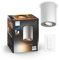 Philips Hue White Ambiance Pillar 1er Spot, weiß 250lm inkl. Dimmschalter, dimmbar, alle Weißschattierungen, steuerbar via App, kompatibel mit Amazon Alexa (Echo, Echo Dot), alte Generation
