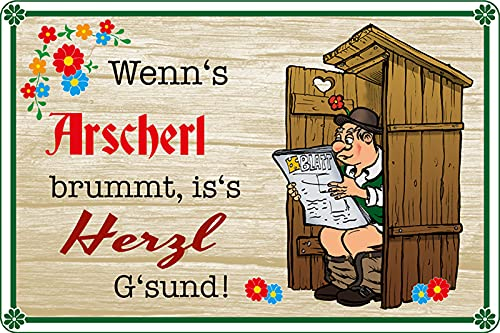 Blechschild 20x30cm gewölbt wenn's Arscherl brummt Deko Geschenk Schild