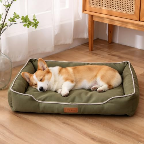 PETCUTE Hundebett Kleine und Mittlgroße Hunde,Wasserdicht Hundekissen Hundekörbchen mit Rutschfester Unterseite,Hundekorb mit Erhöhten Ränder,Haustierbett Waschbar für Hunde und Katzen