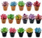 Cayway 16 Stücke Puppenhaus Topf Pflanzen Miniatur Künstliche Pflanze Kleine Bonsai Modell Mini Topfpflanze Blumenmodell Puppenhaus Topf Pflanze für Puppenhaus Gartendekorationen