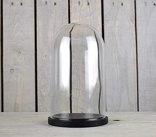 EMH Kleine Glasglocke mit schwarzem Sockel, Höhe 27,5 cm