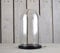 EMH Small Glass Dome Display Cover Cloche Black Base Height 27.5cm