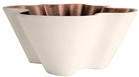 The HC Companies Maceta Venus para suculentas de 6 Pulgadas, Maceta Decorativa única de plástico Poco Profunda con Drenaje, Vainilla Bisque