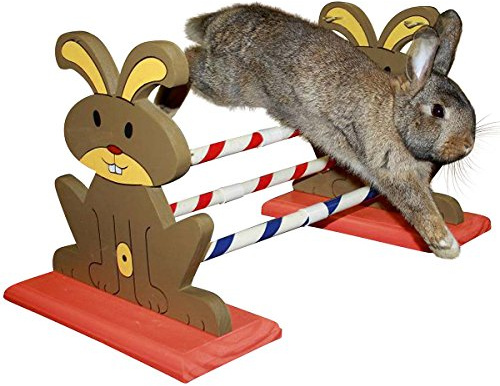 Kerbl Pet Agility Nagerhürde 62 x 33 x 34 cm