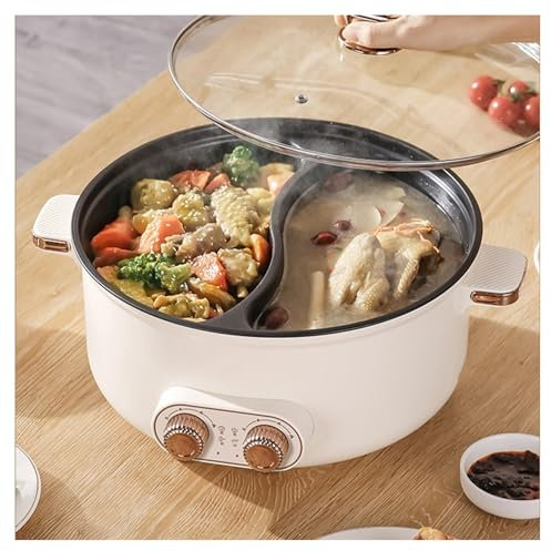 HJXBD888 Olla Dos Compartimentos, Interruptor de Doble Control, Tres Velocidades De Fuego Olla Hot Pot Hot Pot Electrico, Adecuado para Fiestas De CumpleañOs (con 2 Redes Agujereadas),4.5L