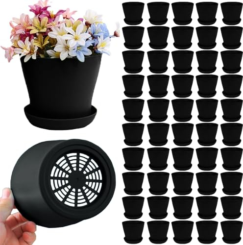 Confezione da 50 vasi per piante grasse, cactus, erbe, viola africano, piccoli, in plastica, con fori di drenaggio, 10,2 cm, colore: nero, 10 cm