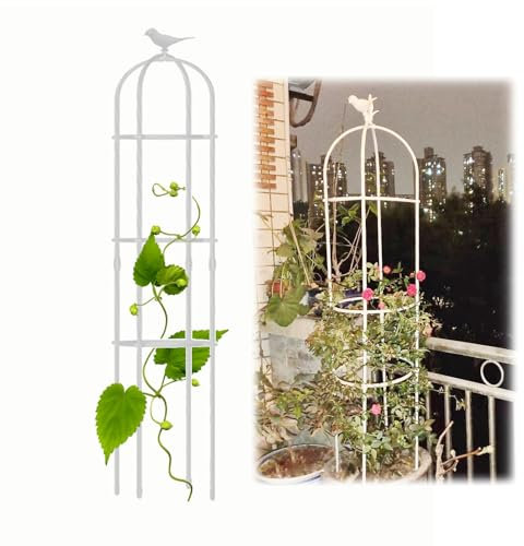 Turmobelisk, Gartenspalier, Metall-Pflanzturm, 21 x 120 cm, 25 x 120 cm, 25 x 160 cm, 25 x 190 cm, 31 x 120 cm, 31 x 160 cm, 31 x 180 cm, 35 x 150 cm, 35 x 180 cm, zur Unterstützung von Rose