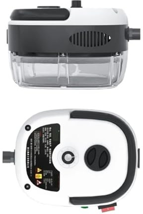 Limpiador a vapor de 2500 W, lavadora a chorro de alta temperatura, campana extractora for cocina, aire acondicionado, máquina de limpieza de automóviles, electrodomésticos(White,220V)