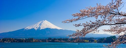 adrium Acryl-Bild 110 x 40 cm: Fujisan, Berg Fuji Blick vom Kawaguchiko-See, Japan mit Kirschblüte(27825551)