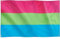 Runesol Polysexuelle Pride Flagge, 91x152 m, 4 Ösen, eine in jeder Ecke, Gay Pride Flagge, LGBT+ Flagge, Pride Fahne, Premium-Fahnen, polisessuale, Polysexual, Festival Parade Feier