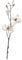 Leonardo Fiore Magnolie, Kunstblume, Blumenzweig, Blütenzweig, Dekozweig, Blumen Zweig, Dekoration, Weiß, 80 cm, 031693