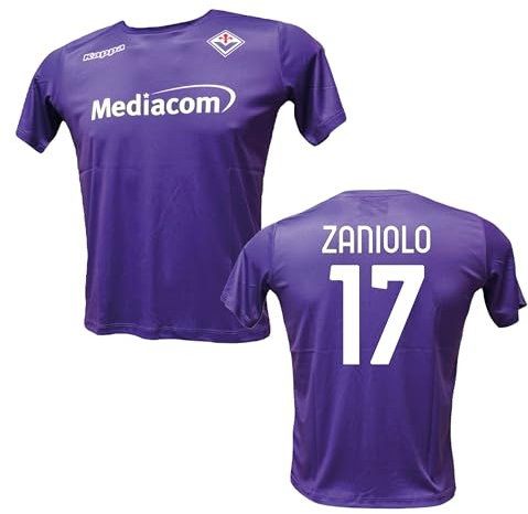 Generico Maglia Fiorentina Personalizzata Zaniolo 17 creata utilizzando Maglia Calcio Replica Autorizzata 2024-2025 Taglie da Adulto (IT, Testo, S, Regular, Regular, Viola)
