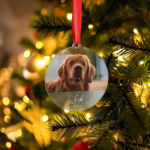 Personalised Pet Christmas Bauble Ornament Pet Lovers Gift Anniversary Wedding Animals Dogs Cats Memorial Photo (Clear)
