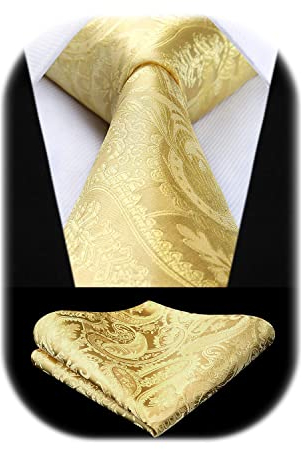 HISDERN Herren Krawatte Gold Hochzeit Gelb Krawatten mit Einstecktuch Set Klassisch Paisley Schlips fur Manner