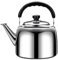 Large Whistling Kettle for Teas Stainless Steel Water Boiler for Induction Multipurpose Electric Stove Top Teapot