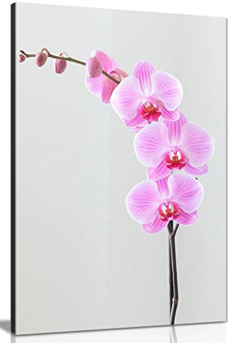 Purple Wall Art Orchid Flowers Home Decor Canvas Wall Art Picture Print (12x8in)