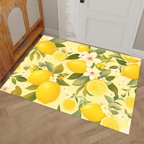 CECE&COLE rutschfest Absorbierend Fußmatte, 40x60 cm, 3D Obst Zitrone Druck Maschinenwaschbare Fußmatte, Sauberlaufmatte, Fussmatte für Hund, Eingang, Haustür Flur