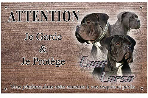 Plaque Attention au Chien Cane Corso 30x20cm - Panneau Aluminium Dibond Professionnel - Impression UV Anti-UV - Pancarte Sécurité Haute Dissuasion