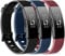 3 Stück Silikon-Armbänder für Fitbit Inspire HR & Fitbit Inspire 2 & Fitbit Inspire & Ace 2 Ersatz-Armbänder für Damen Herren S L (groß: für 18 cm,23.9 cm Handgelenke, schwarz + marineblau + weinrot)