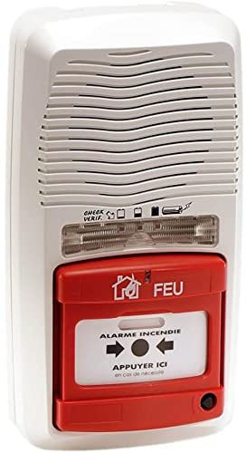 Alarme Type 4 autonome avec Flash