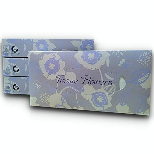 Fazzolettini Veline Cosmetiche Salviette Per Cosmesi Con Scatola Dispenser Fazzoletti Facciali 2 Veli (12 Confezioni x 100 Fazzoletti)