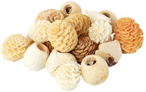 Exoten Sortiment Zapfen - Exoten Afrika - 1 Kg - Naturmaterialien für würdevolle Trauerfloristik & Dekoration (Gebleicht)