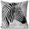 VOID Zebrakopf Kissenbezug Kissenhülle Outdoor Indoor Zebra, Kissen Größe:40 x 40 cm