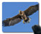 (genaue - Kante - Mousepad) Adler Vogel Raptor Gaming - Maus teure Erdgas Mac - Oder der Computer Mouse Pad.