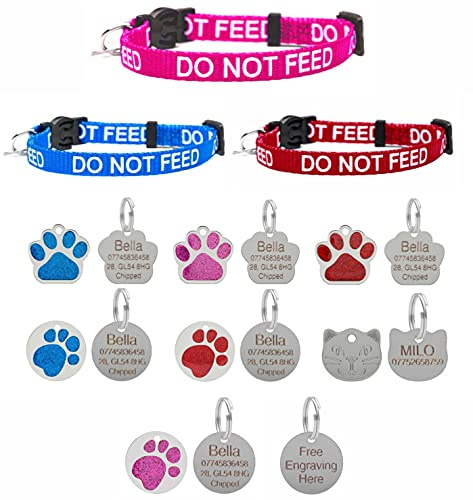 LARRYROO Katzenhalsband mit Gravur 'Do Not Feed', Sicherheitsschnalle, 1 Stück, Blau oder Rosa, mit optionaler gravierter ID-Tag