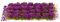 EXCEART War World Scenics Gras Gaming Base Blumen Grasbüschel Modellbau Tabletop Gelände Statische Grasbüschel Geländebau Miniatur Ornamente Eisenbahn Modellbahn Landschaftsbau Diorama Zubehör