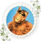FONDANT Tortenbild, Zuckerbild mit Motiv, Essbares Foto für Torten, Tortenbild, Tortenaufleger Ø 20cm FONDANT Alf Nr. 8