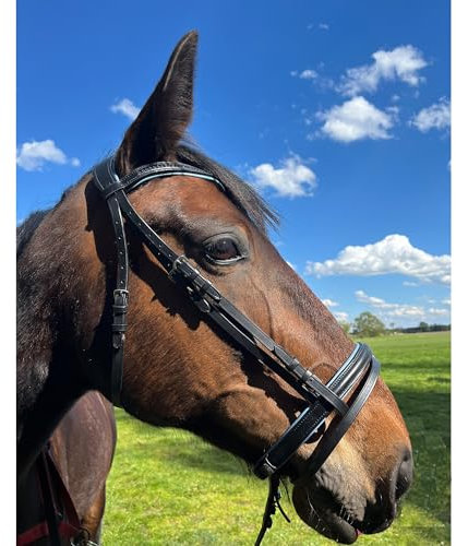 Brama West Ledertrense Pferd Sparkle - englisch kombiniert - Reithalfter mit Antislip Zügel und Strasssteinen - Hellblau, Gr. Cob