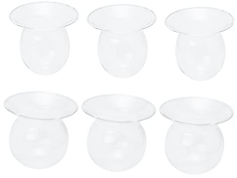 FUNOMOCYA 6stücke Hydroponische Glasvase Mit Einfachem Design Dekorative Blumenvase Für Tisch Und Hochzeiten Für Arrangements Und Pflanzenzucht